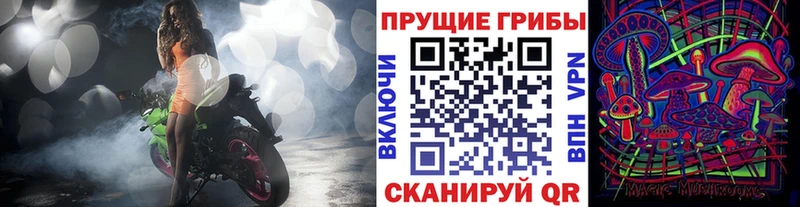 купить   Рославль  Галлюциногенные грибы ЛСД 