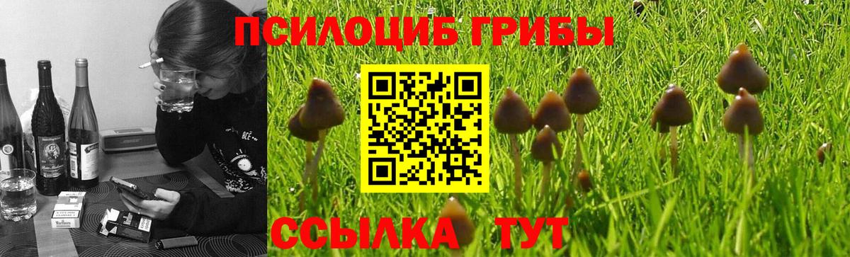 Псилоцибиновые грибы MAGIC MUSHROOMS  Рославль 