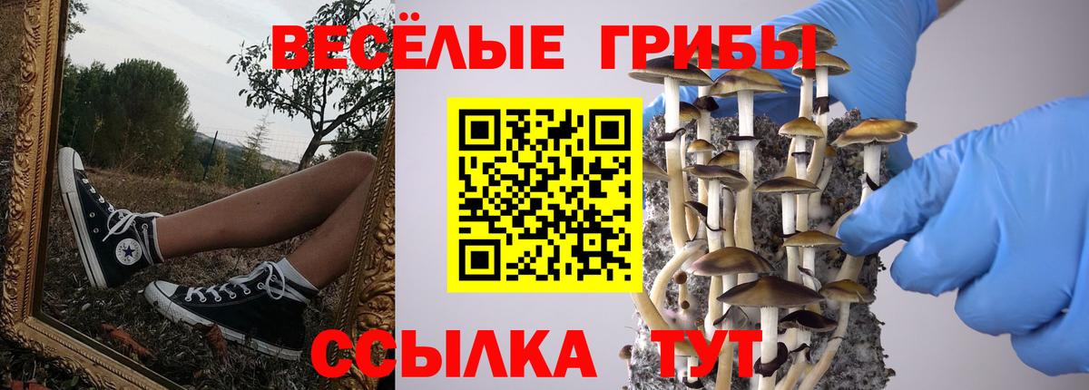 Галлюциногенные грибы Cubensis  Вход с VPN  Псилоцибиновые грибы GOLDEN TEACHER  Рославль 