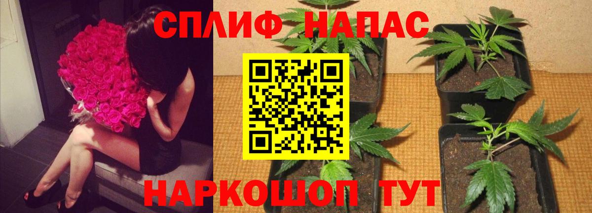 Бошки марихуана план  Вход с VPN  Рославль  Шишки марихуана Bruce Banner 